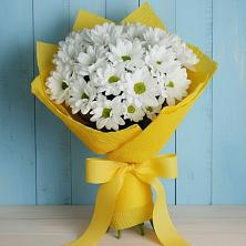 Букет цветов из:  Хризантемы в Мысхако