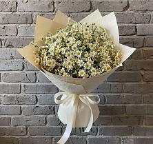 Букет цветов из:  Ромашки в Мысхако