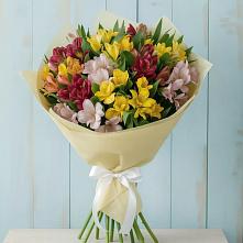 Букет цветов из:  Альстромерии в Мысхако