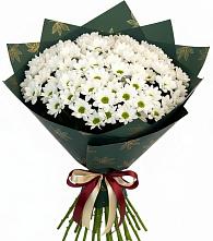 Букет цветов из:  Хризантемы в Мысхако