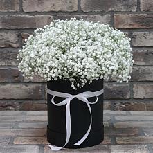 Цветочная композиция из Гипсофила в шляпной коробке #REPLACE_PRED# Мысхако
