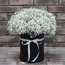 Цветочная композиция из Гипсофила в шляпной коробке в Мысхако