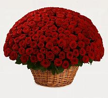 Премиум букет из: Розы в Мысхако