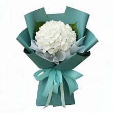 Букет цветов из:  Гортензия в Мысхако